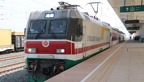 Chinese-built Ethiopia-Djibouti railway earns 50 mln USD in 9 months