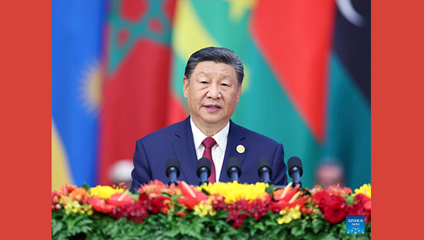 Xi proposes partnership actions to jointly advance modernization with Africa