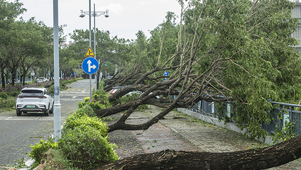 Xi urges beefed-up disaster relief after Super Typhoon Yagi strikes south China