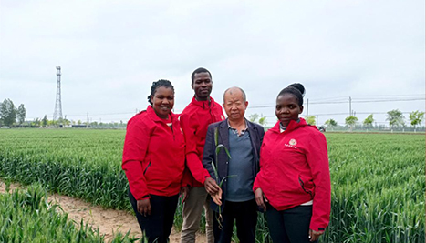 Sci-tech backyard mirrors deepening Sino-African agricultural cooperation