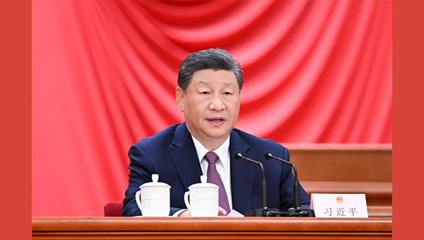 Xi urges running people's congresses to good effect as political system's 70th anniversary celebrated