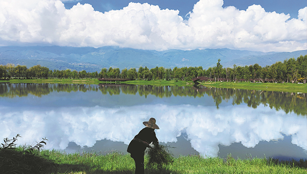 Green shift provides lifeline for Yunnan's lakes