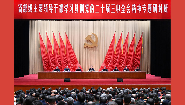 Xi calls for pooling wisdom, strength to advance reform in steady and sustained manner