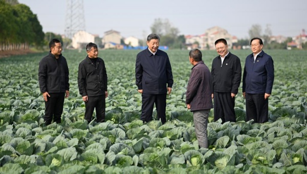 Xi inspects central China's Hubei Province