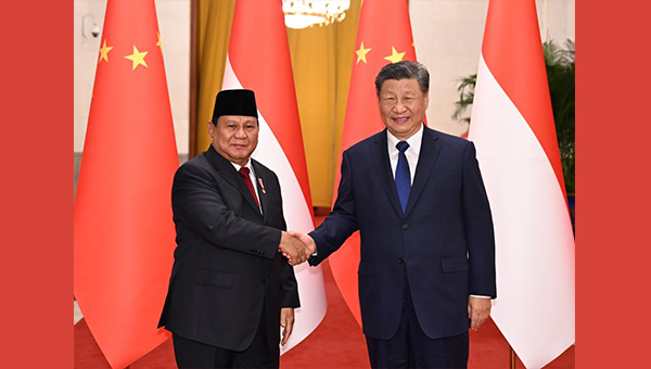 Chinese, Indonesian presidents pledge joint efforts to build community with shared future