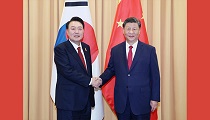 Xi calls on China, S. Korea to promote sound, steady development of ties