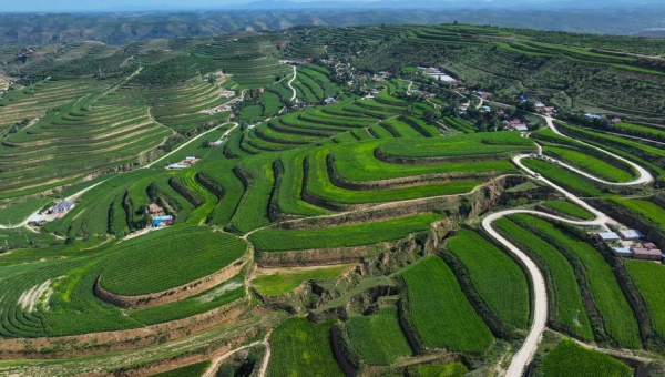 China's rural road development propels rural revitalization