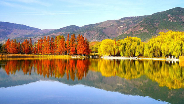 China strives to safeguard beauty of biodiversity