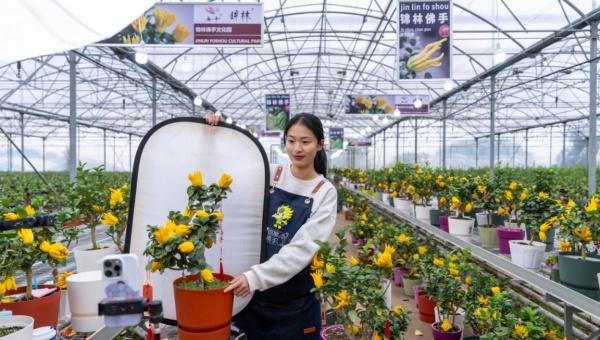 Agricultural innovators contributing to China's comprehensive rural revitalization