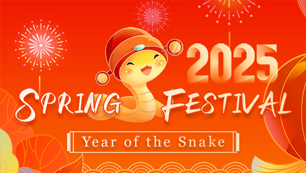 2025 Spring Festival