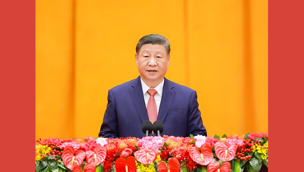 Xi lauds China's solid progress despite challenges in Year of Dragon