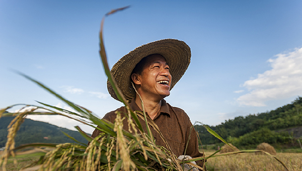 China outlines key tasks to deepen rural reforms, advance rural revitalization