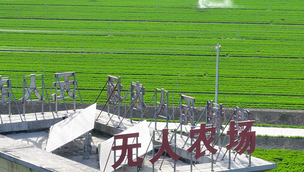 China's low-altitude economy boosts smart agriculture, rural development