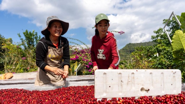 China's coffee capital brews new blend of culture, tourism