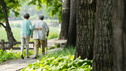 Xi stresses importance of ensuring senior citizens live happily