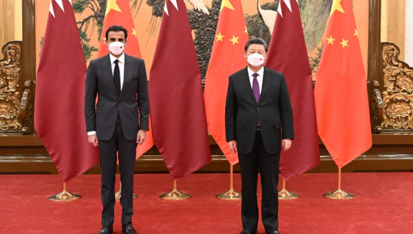 China ready to launch panda cooperation with Qatar: Xi
