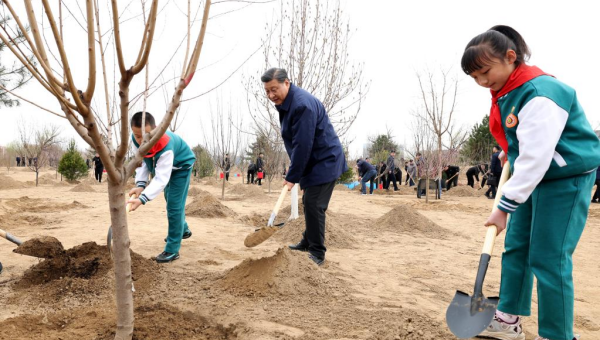 Xi plants trees for 10th year as top leader