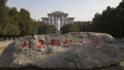 Xi replies to letter from university professors on talent cultivation