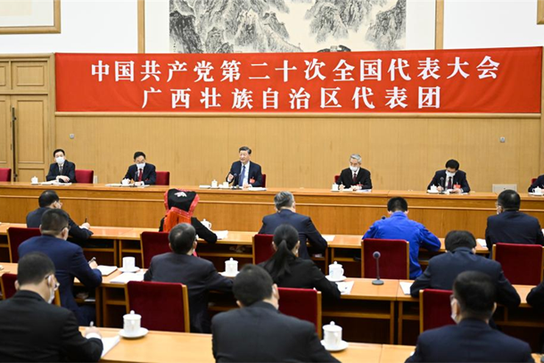 Xi calls on Chinese to pull together with one mind to realize national rejuvenation