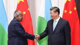 China ready to maintain close coordination with Djibouti to uphold common interests of developing countries: Xi