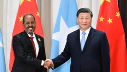 Xi says China to support, help Somalia in reconstruction, anti-terror fight