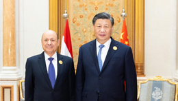 Xi meets chairman of presidential leadership council of Yemen