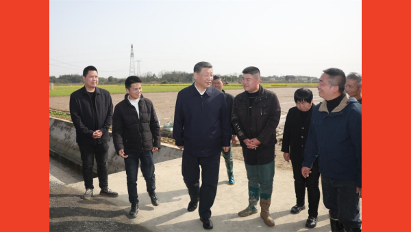 Xi inspects spring farming work