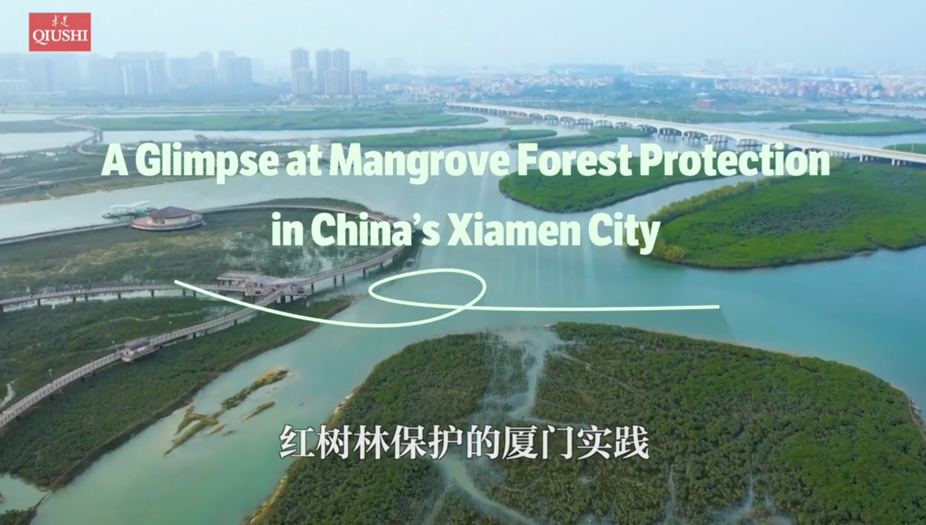 A Glimpse at Mangrove Forest Protection in China’s Xiamen City