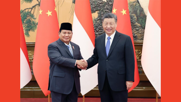 Xi holds talks with Indonesia's president-elect