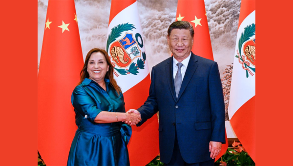 China ready to advance comprehensive strategic partnership with Peru to new heights: Xi