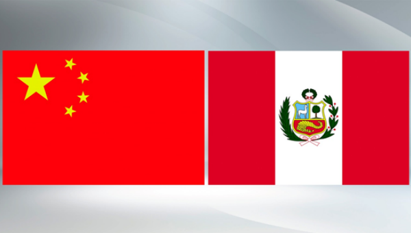 Xi holds talks with Peruvian President Boluarte