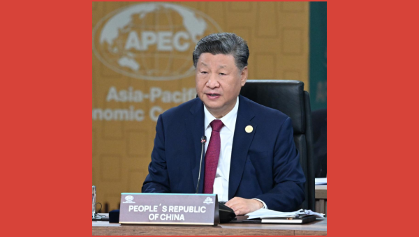 Xi makes key proposals for jointly promoting Asia-Pacific development