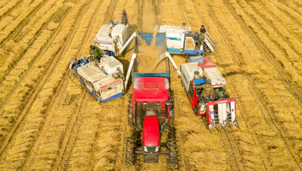 Xi urges deepening rural reform, building up strength in agriculture