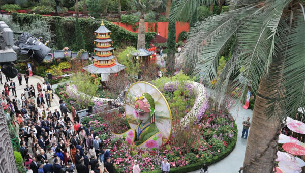 Chinese Lunar New Year floral display 