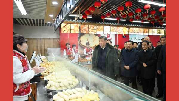 Xi inspects NE China city ahead of Spring Festival