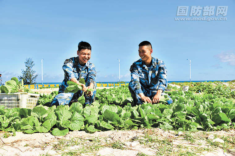 1591785734019028952.jpg 123.jpg