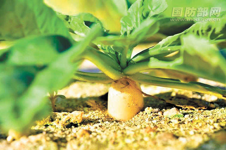 1591785770407078370.jpg 456.jpg