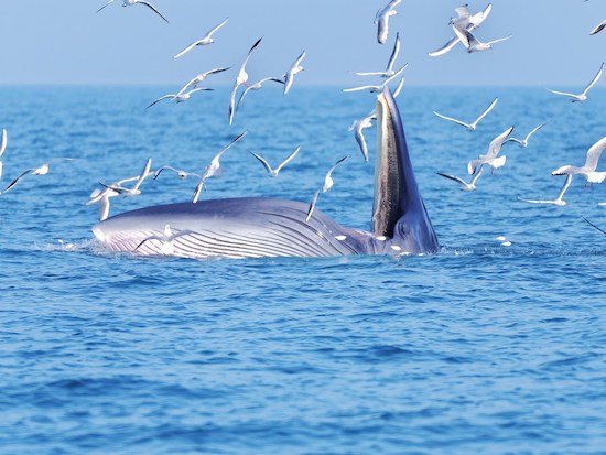 1593655138818014942.jpg 139140898_15922222490981n.jpg