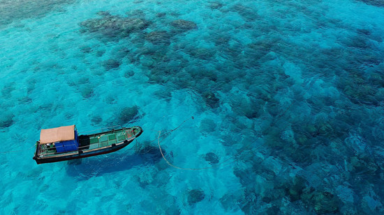 1617094841980041797.jpg 5_副本.jpg