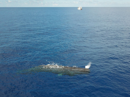 1620441793210067806.jpg 990471n_副本.jpg