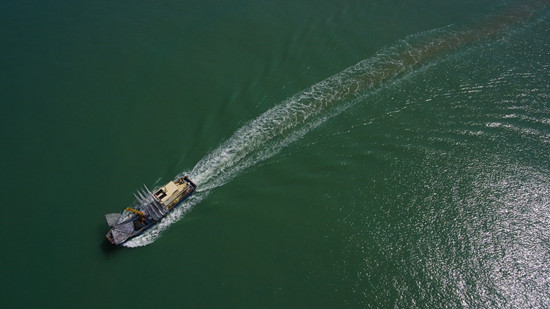 1620441850923062300.jpg 0481n_副本.jpg