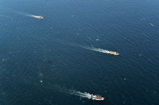 1623831170018043548.jpg bdcd73fd_副本.jpg