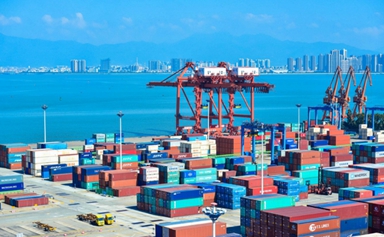 Xiamen FTZ single window boosts international trade