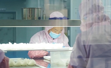 Bird nest company generates 500m yuan in output in H1