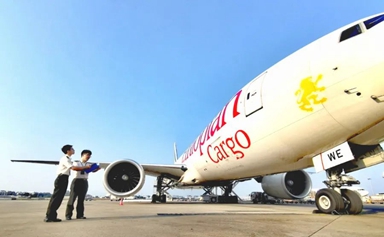 Xiamen-Sao Paulo BRICS air cargo route breaks through 10 million export goods