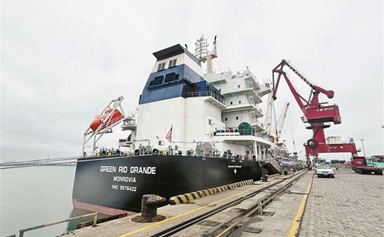 World's largest professional pulp vessel makes first call at Xiamen Port