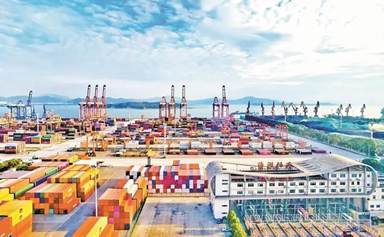 Xiamen FTZ accelerates green transition for sustainable development