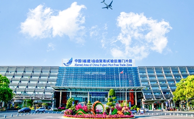 China's 1st medical device global bonded repair project in Xiamen reaches 10m yuan milestone