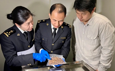 China's first natural bezoar shipment for Pien Tze Huang imported via Xiamen