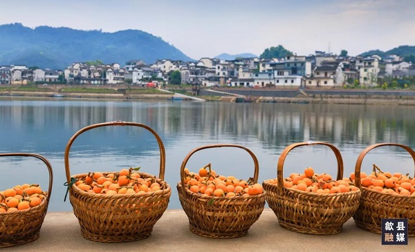 1747908513647002781.jpg 4小.jpg